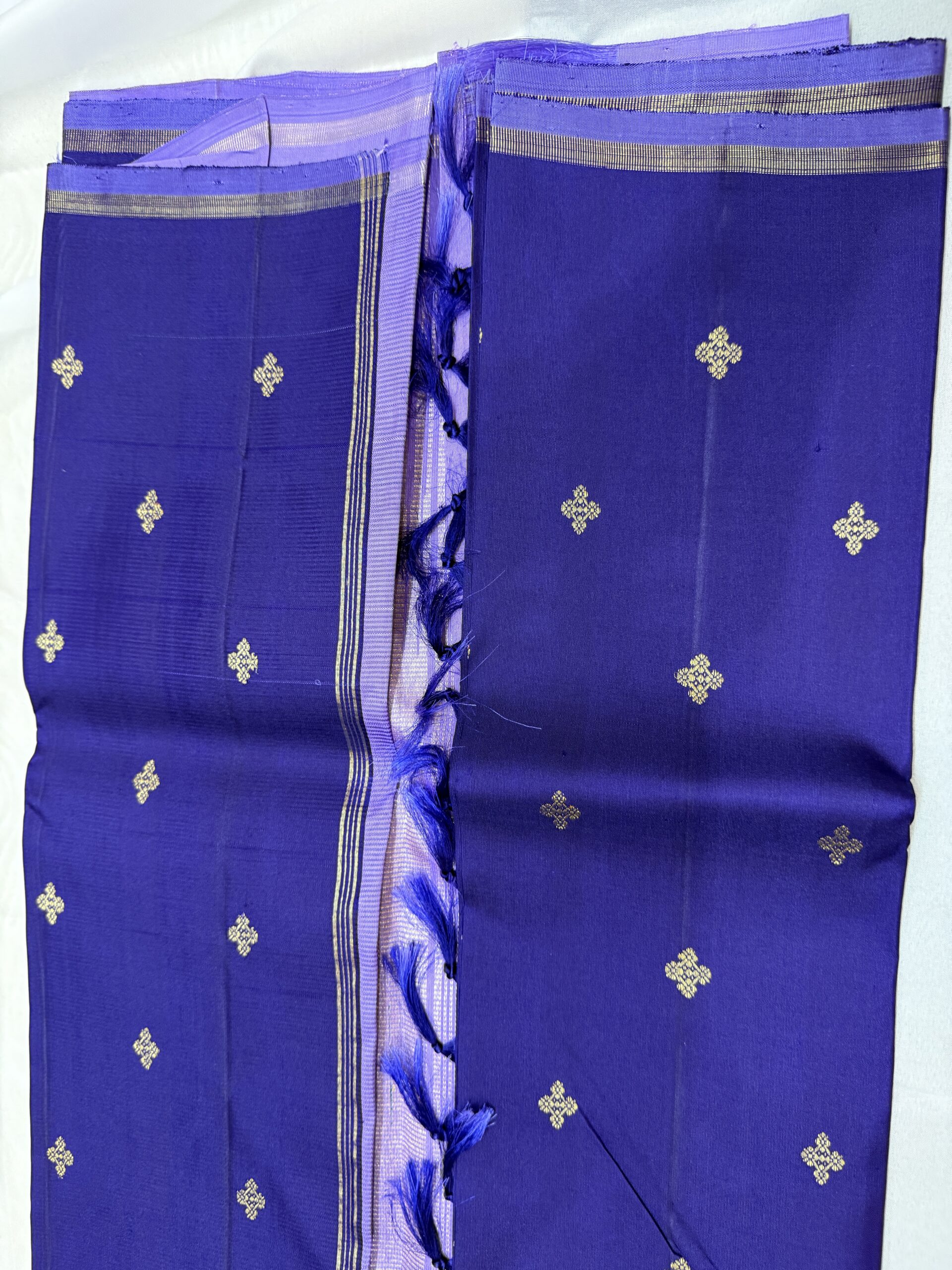 Neelambari - Image 3