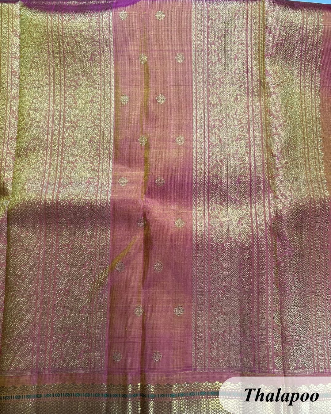Oli - Image 3